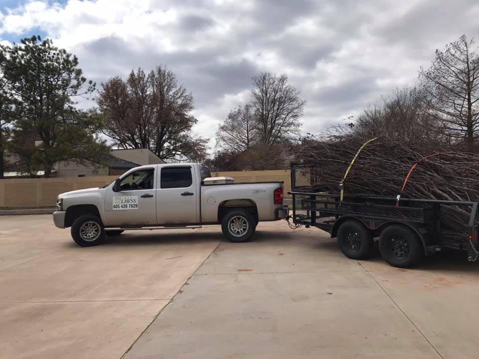 Tree Work by MDN Lawns