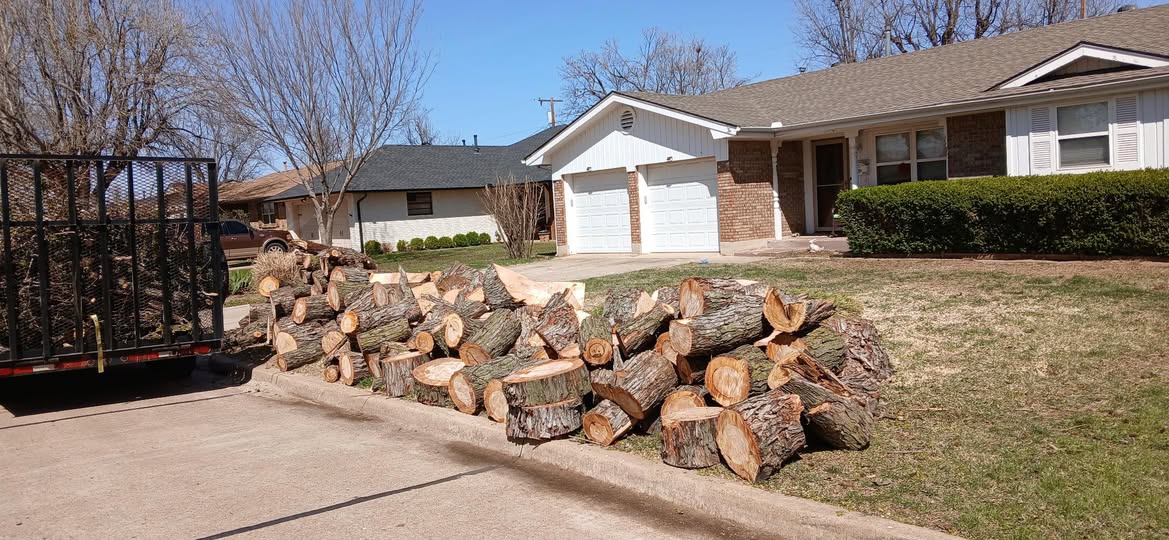 Tree Work by MDN Lawns